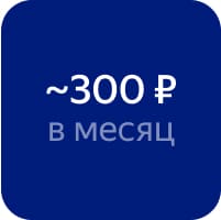 Цена за месяц примерно 300 рублей