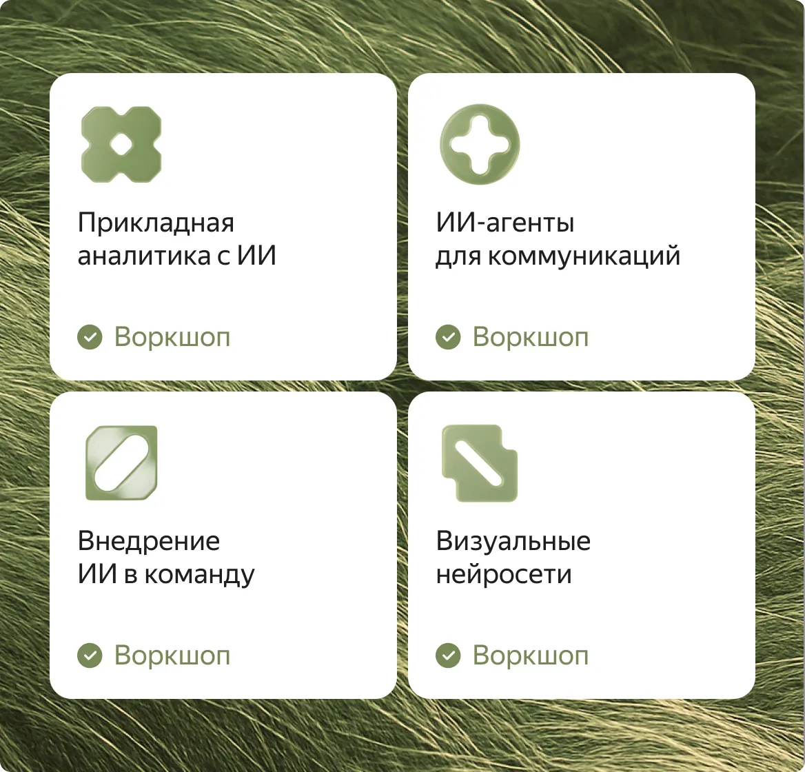 Воркшопы