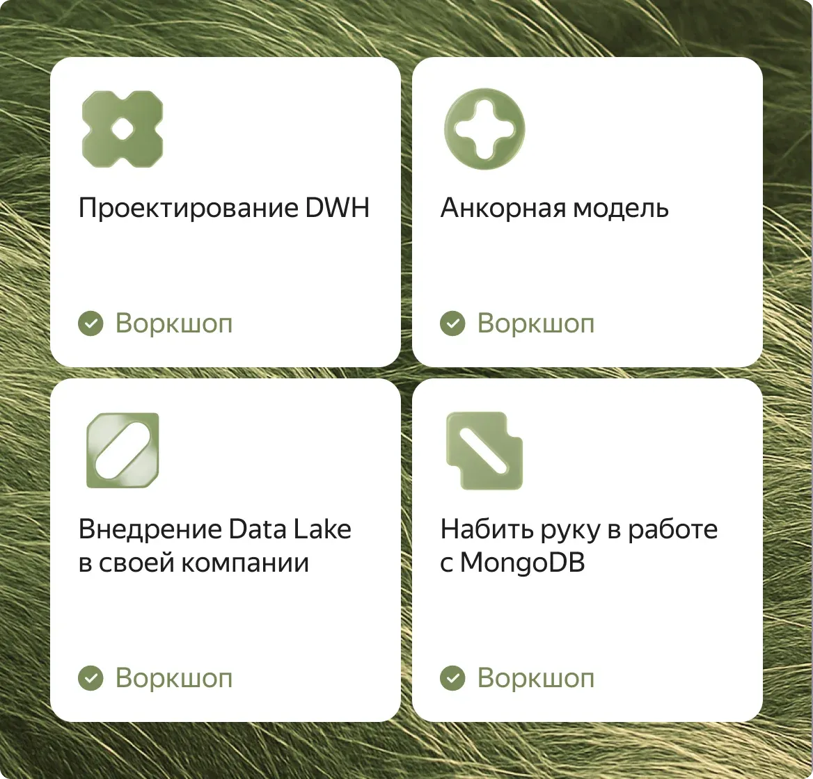 Воркшопы